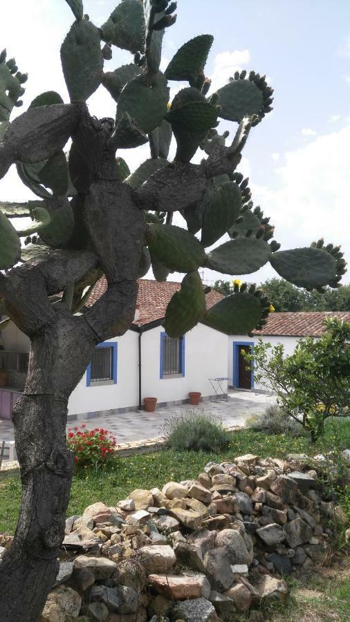 Casale Diletta Bed & Breakfast Castiadas Exterior photo